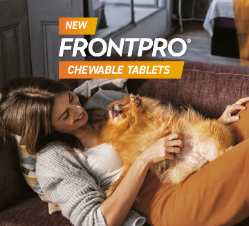 Frontpro landing Hero - Mobile